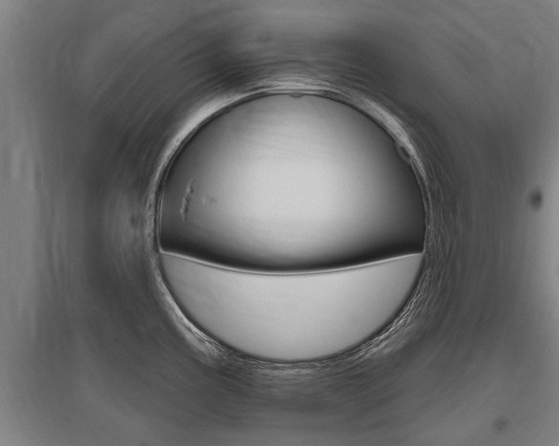 X0000096131195200801180822