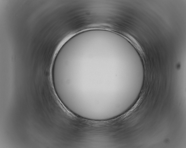 X0000096131196200801180822