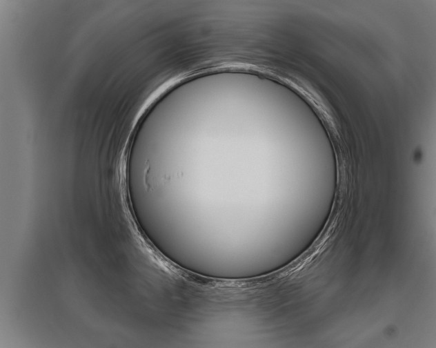 X0000096131198200801180822