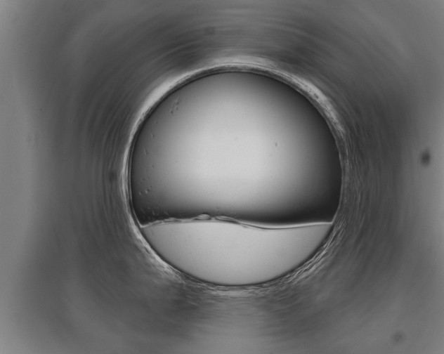 X0000096131199200801180822