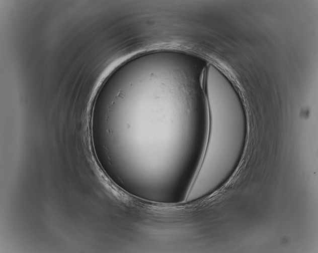 X0000096131200200801180822