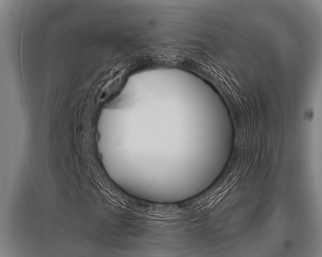 X0000096131201200801180821