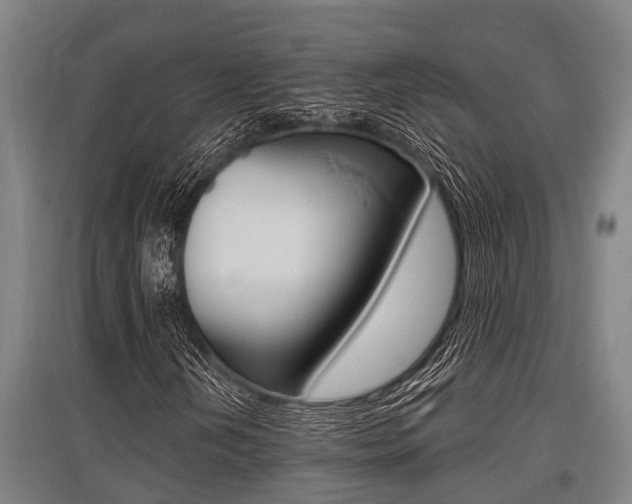 X0000096131202200801180821