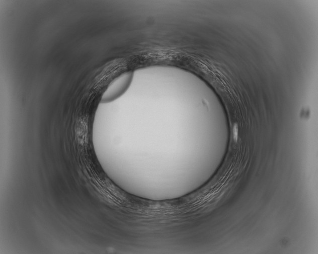 X0000096131203200801180821
