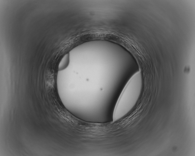 X0000096131204200801180821