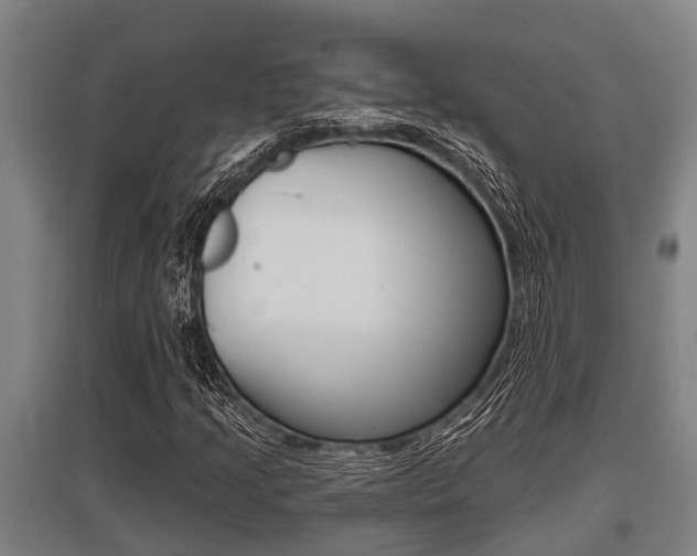 X0000096131205200801180821