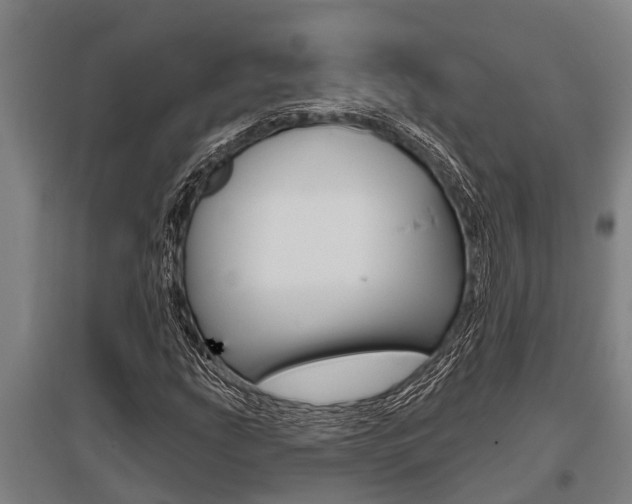 X0000096131207200801180821