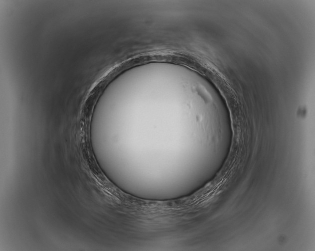 X0000096131208200801180821