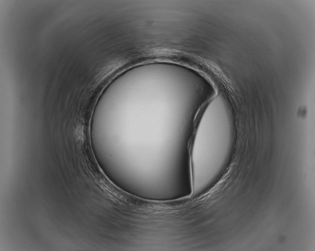 X0000096131209200801180821