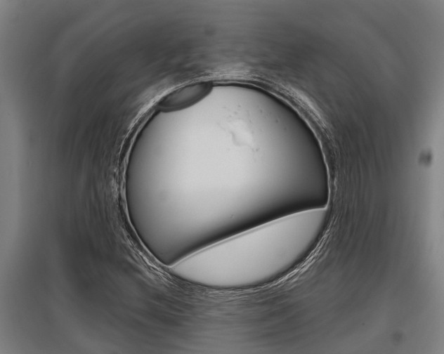 X0000096131212200801180821