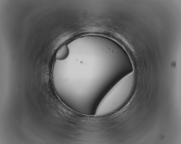 X0000096131213200801180821