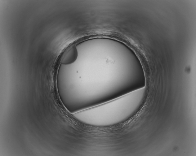 X0000096131214200801180821