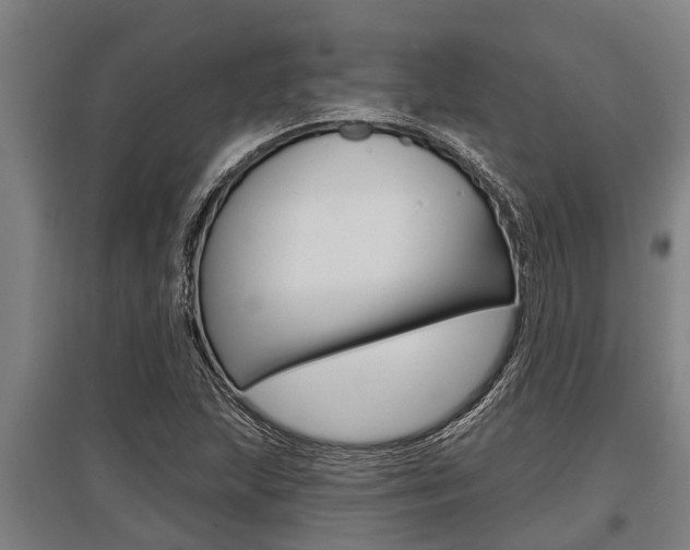 X0000096131215200801180821