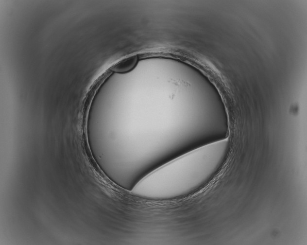 X0000096131216200801180821
