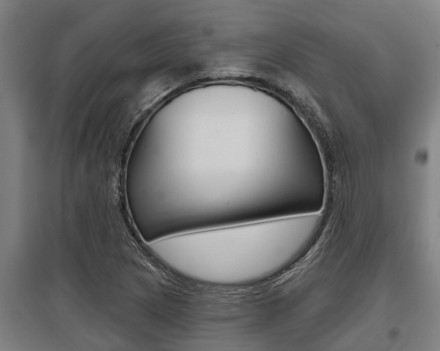 X0000096131217200801180821