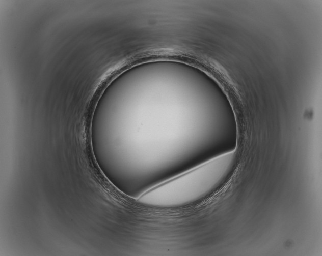 X0000096131218200801180822