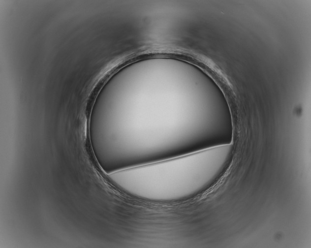 X0000096131221200801180822