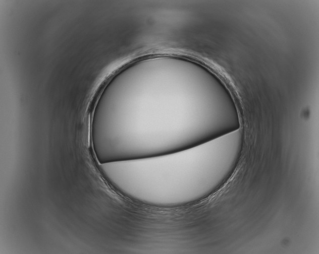 X0000096131223200801180822