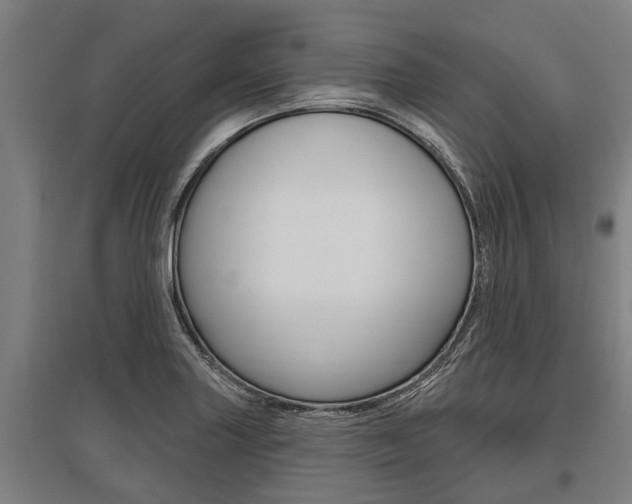 X0000096131227200801180822