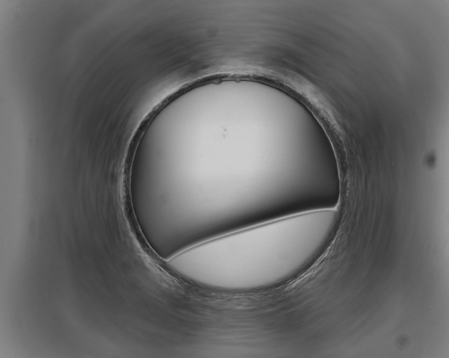 X0000096131229200801180822
