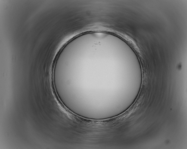 X0000096131231200801180822