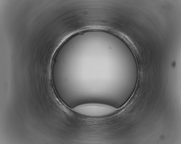 X0000096131236200801180822
