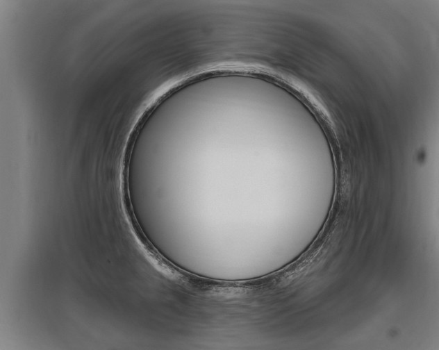 X0000096131237200801180822