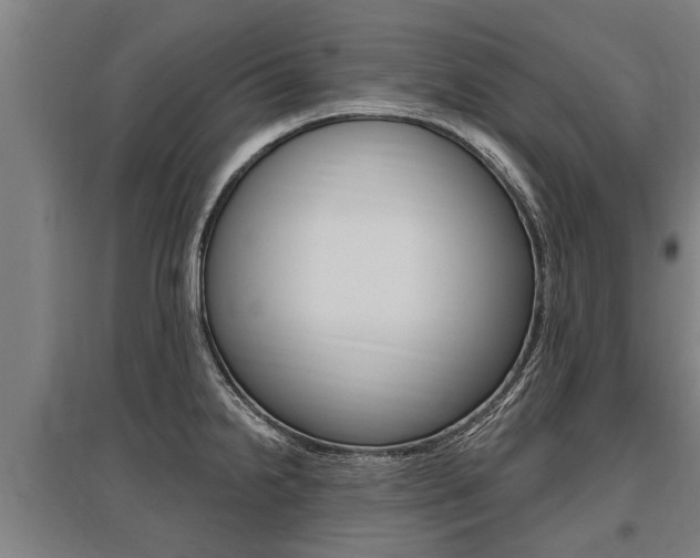 X0000096131238200801180822