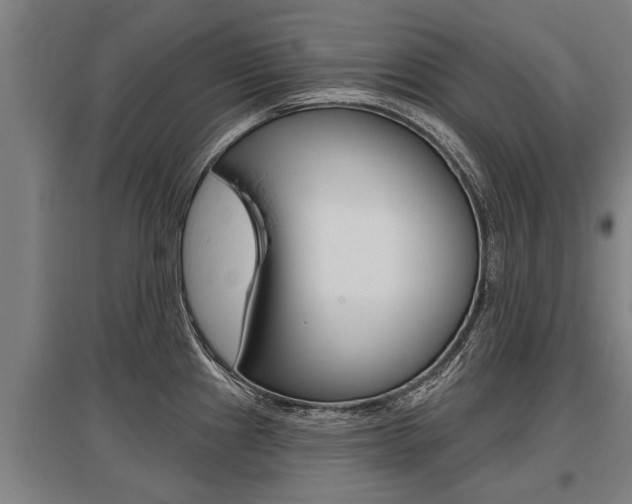 X0000096131241200801180822