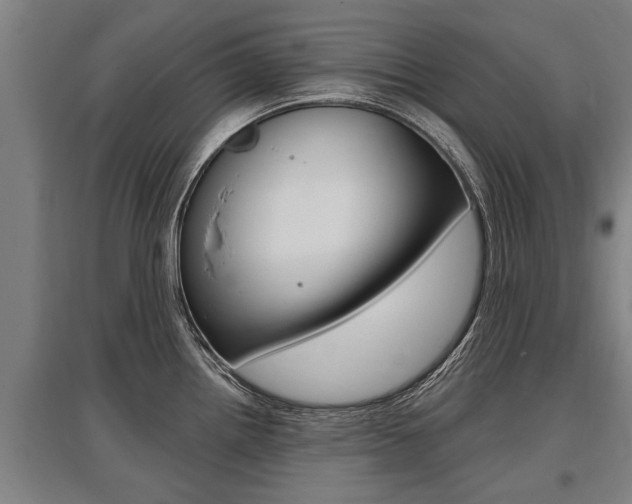 X0000096131242200801180822