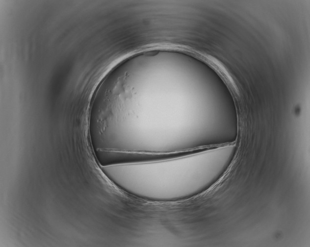 X0000096131244200801180822