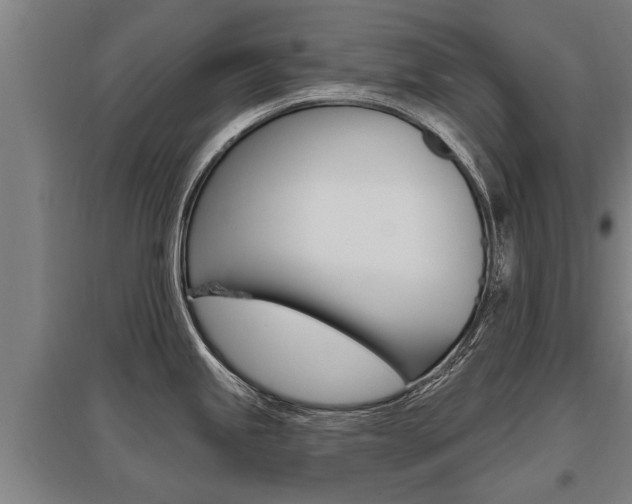 X0000096131245200801180822