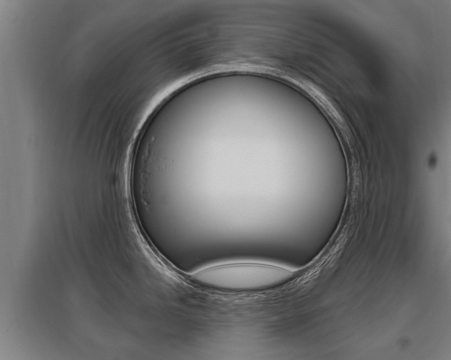 X0000096131246200801180822