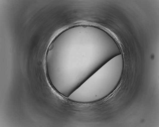 X0000096131247200801180822