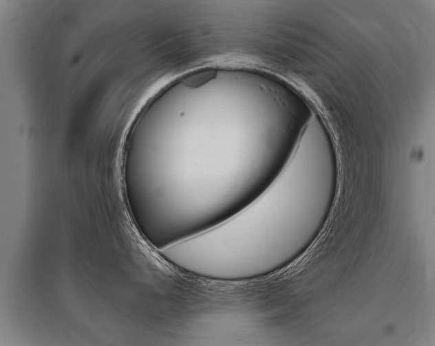 X0000096131248200801180822