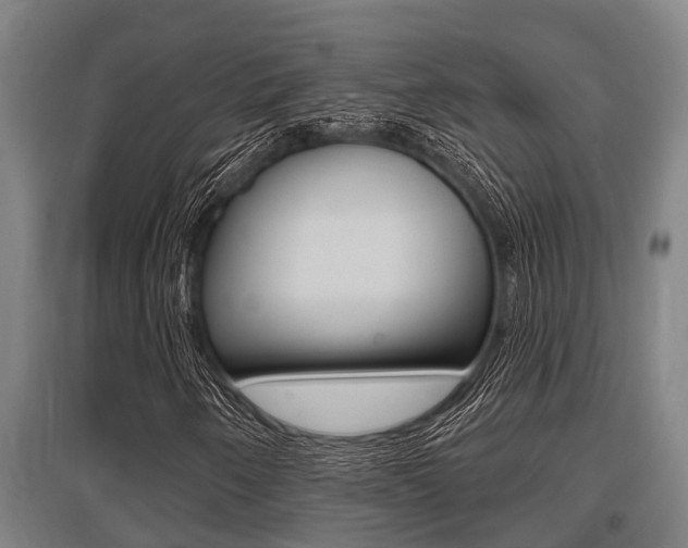 X0000096131250200801180821