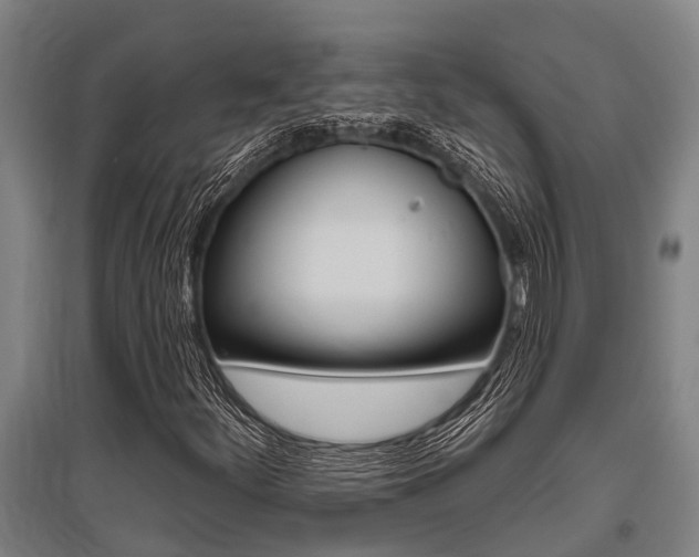 X0000096131252200801180821