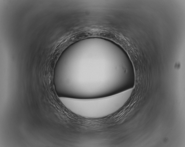 X0000096131253200801180821