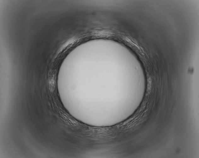 X0000096131254200801180821