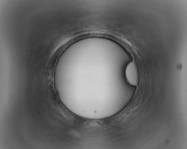 X0000096131255200801180821