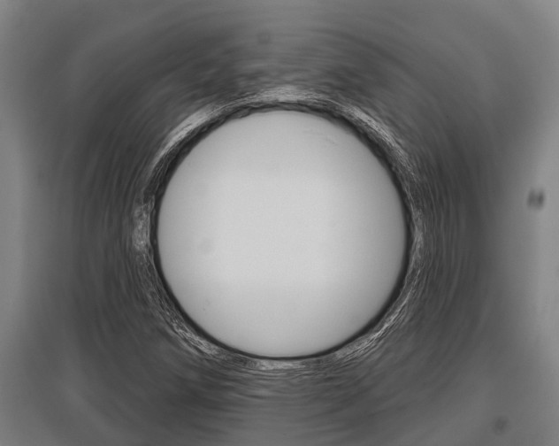 X0000096131258200801180821