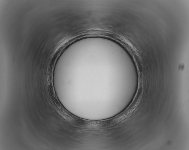 X0000096131259200801180821