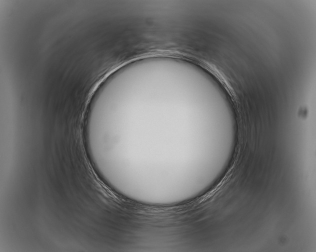 X0000096131260200801180821