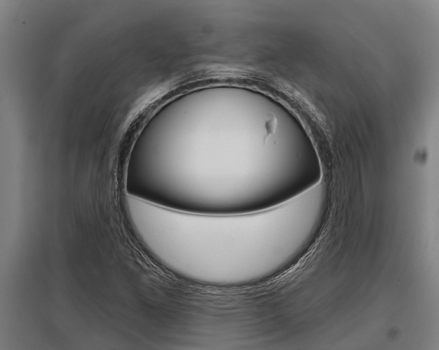 X0000096131261200801180821