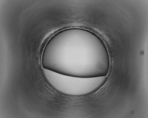 X0000096131262200801180821