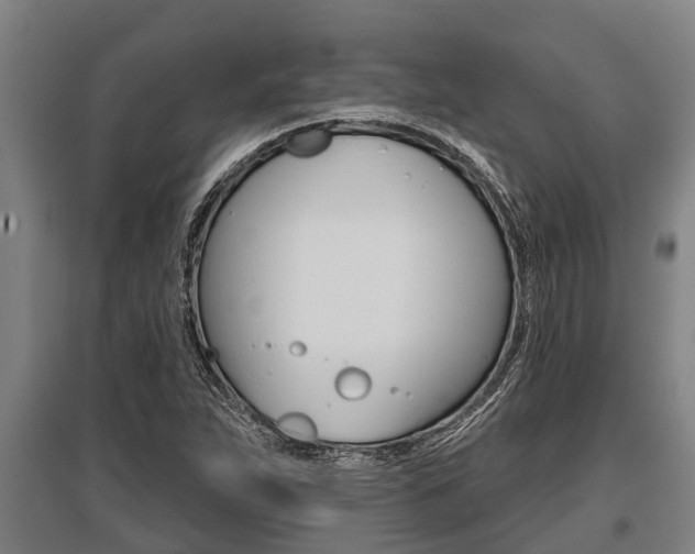 X0000096131263200801180821