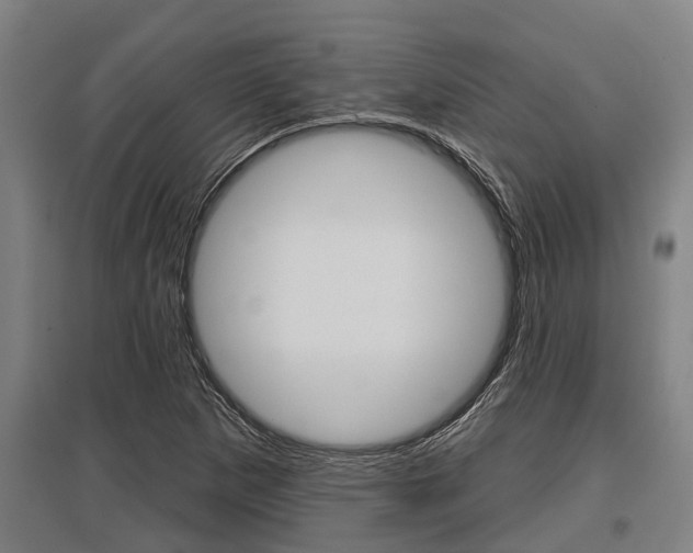 X0000096131265200801180821