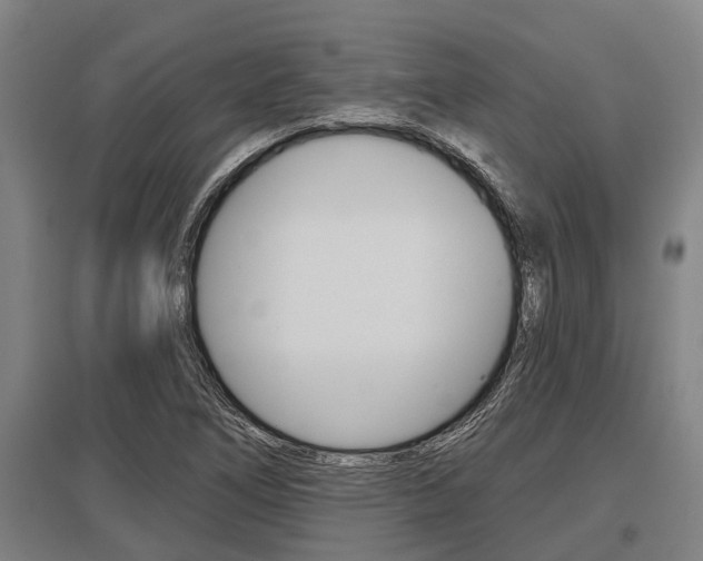 X0000096131266200801180821