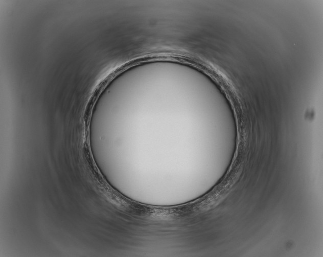 X0000096131267200801180821