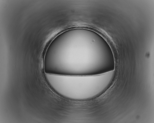 X0000096131269200801180821
